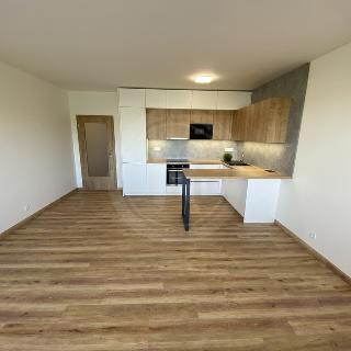 Pronájem bytu 1+kk a garsoniéry 38 m² České Budějovice, České Vrbné