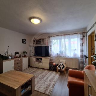 Prodej bytu 2+1 51 m² Bechyně, Na Libuši