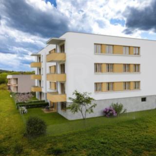 Prodej bytu 1+kk a garsoniéry 41 m² České Budějovice 6, Šroubárenská