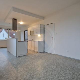 Pronájem bytu 3+1 64 m² České Budějovice, Strádova