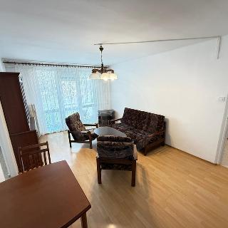 Pronájem bytu 3+1 64 m² České Budějovice, L. M. Pařízka