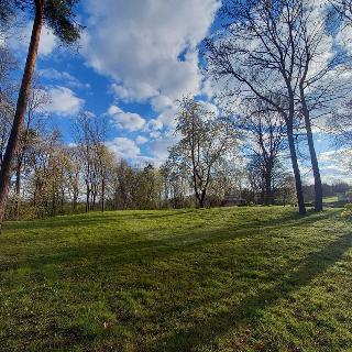 Prodej stavební parcely 9 000 m² Libníč