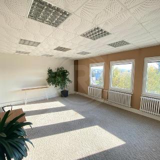 Pronájem kanceláře 314 m² České Budějovice, Vrbenská