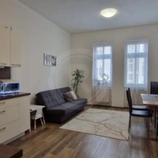 Pronájem bytu 2+1 57 m² České Budějovice 3, Puklicova
