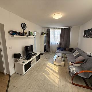 Pronájem bytu 2+1 50 m&sup2; Jankov