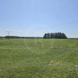 Prodej stavební parcely 5 727 m² Rapšach, Spáleniště