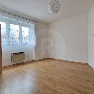 Pronájem bytu 2+1 60 m² Bechyně, Na Libuši