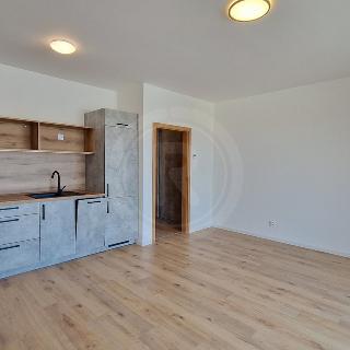 Pronájem bytu 1+kk a garsoniéry 33 m² České Budějovice, Vrbenská