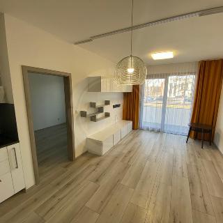 Pronájem bytu 3+kk 75 m² České Budějovice, Na Zlaté stoce