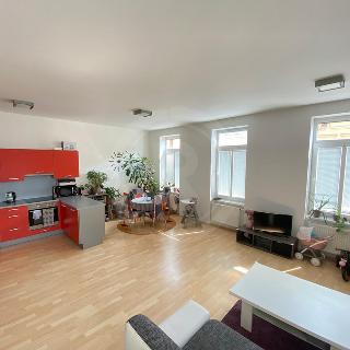 Pronájem bytu 2+kk 66 m² České Budějovice, Nová