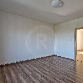 Pronájem bytu 2+kk 63 m² České Budějovice, Roháče z Dubé