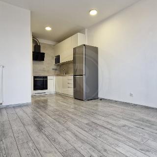 Pronájem bytu 2+kk 46 m² České Budějovice