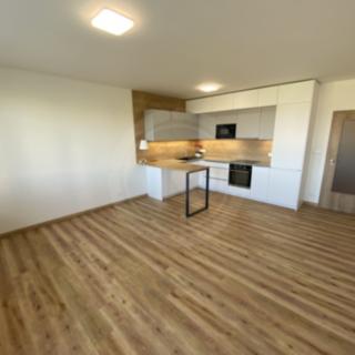 Pronájem bytu 1+kk a garsoniéry 38 m² České Budějovice 2, České Vrbné