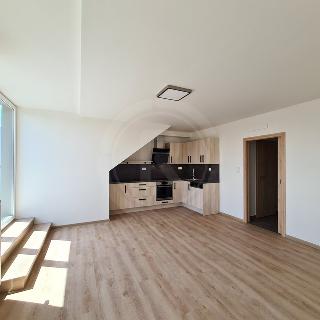 Pronájem bytu 2+kk 66 m² České Budějovice, Riegrova