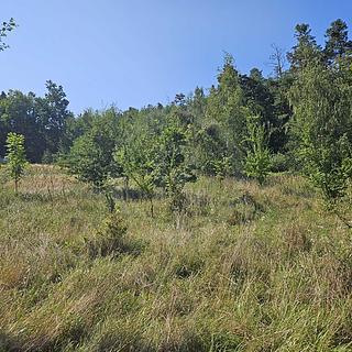 Prodej zahrady 4432 m&sup2; Včelná