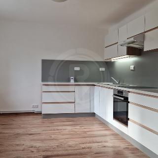 Pronájem bytu 2+1 53 m² České Budějovice