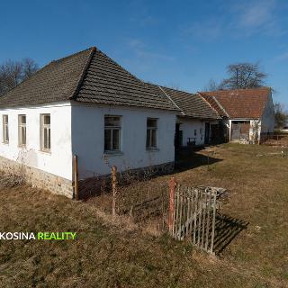 Prodej zemědělské usedlosti 275 m² Polště