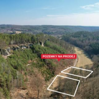 Prodej zahrady 18 162 m² Medonosy