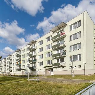 Prodej bytu 2+1 64 m² Milevsko, J. A. Komenského