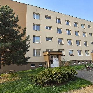 Prodej bytu 2+kk 46 m² Lužec nad Vltavou, Za Humny