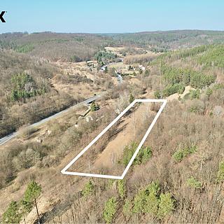 Prodej zahrady 6644 m&sup2; Medonosy