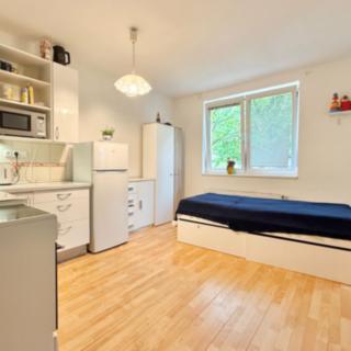 Prodej bytu 2+kk 45 m² Praha