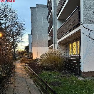 Pronájem bytu 2+1 67 m² Praha, Točitá