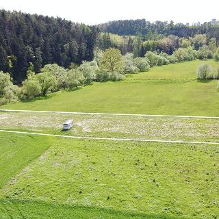 Prodej louky 3 146 m² Dobronice u Bechyně