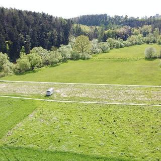 Prodej louky 3 146 m² Dobronice u Bechyně