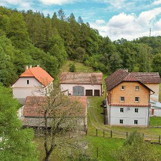 Prodej zemědělské usedlosti 623 m² Březová-Oleško