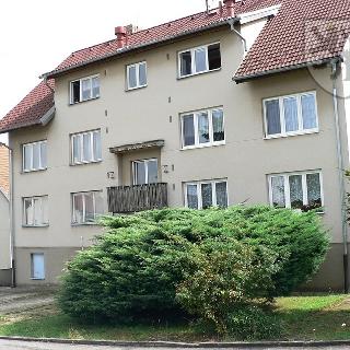 Pronájem bytu 2+1 53 m² Sedlice, Sídliště 2