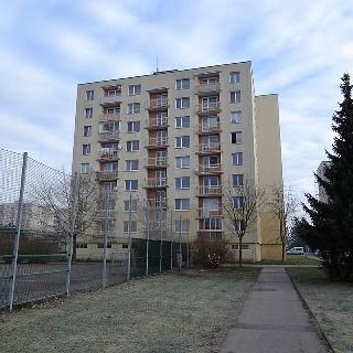 Pronájem bytu 1+kk a garsoniéry 34 m² Pardubice, Erno Košťála