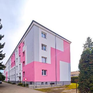 Prodej bytu 2+1 50 m² Přelouč, K. Čapka