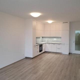 Pronájem bytu 2+kk 56 m² Pardubice, Pod Vinicí