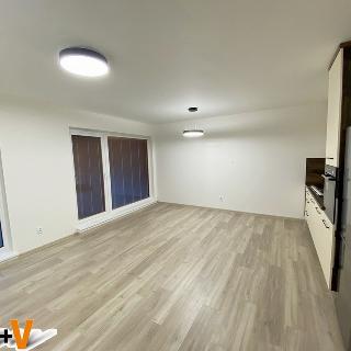 Pronájem bytu 2+kk 60 m² České Budějovice, V. Talicha