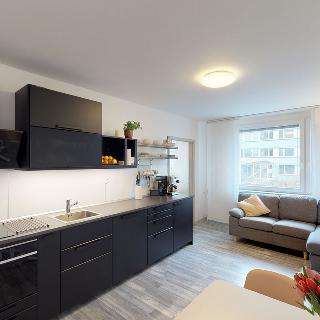 Pronájem bytu 4+kk 68 m² Kladno, Děčínská