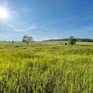 Prodej stavební parcely 1 542 m² Litohlavy