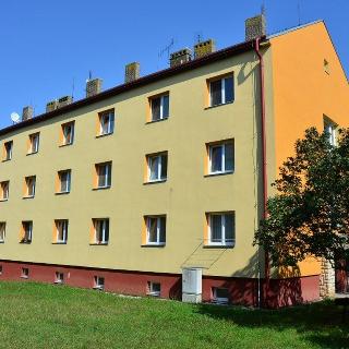 Prodej bytu 1+1 28 m² Slaný, Rabasova