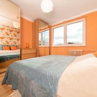 Pronájem bytu 2+1 51 m² Kladno, Havanská