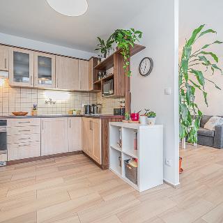 Prodej bytu 3+1 72 m² Jílové u Prahy, Holíkova