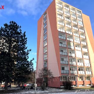 Pronájem bytu 3+1 68 m² Kladno, Ukrajinská