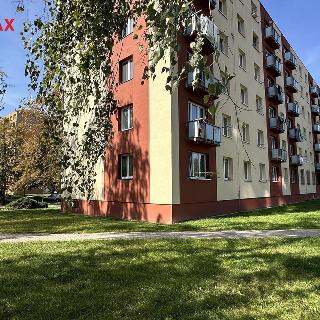 Prodej bytu 3+1 64 m² Kladno, Anglická