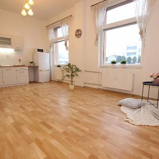 Prodej bytu 1+kk a garsoniéry 34 m² Louny, U Zastávky