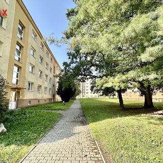 Prodej bytu 2+1 54 m² Kladno, Vitry