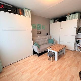 Pronájem bytu 1+kk a garsoniéry 26 m² Kladno, Brněnská