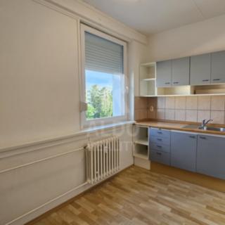 Prodej bytu 1+1 30 m² České Budějovice 3, Průběžná