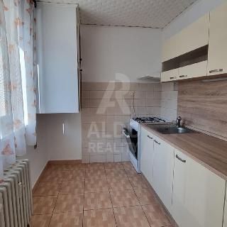 Pronájem bytu 2+1 65 m² České Budějovice, Roháče z Dubé