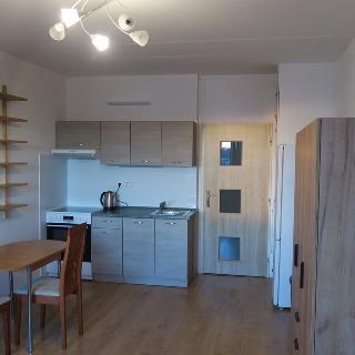 Pronájem bytu 1+kk a garsoniéry 30 m² Český Krumlov, Urbinská