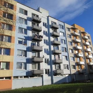 Prodej bytu 1+1 40 m² Protivín, Družstevní