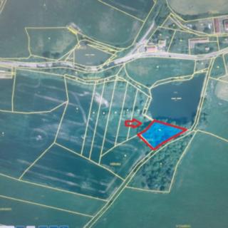 Prodej zemědělské půdy 2006 m&sup2; Čížová